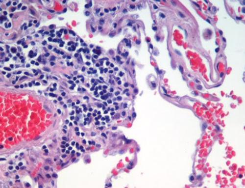 Histology & Cytology Tests